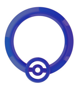 Pokemon Trainer Expert